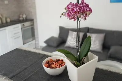 Image de Apartments Katarina