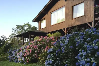 Image de Maison-de Luxe-Salle de bain privée séparée-Vue sur Jardin