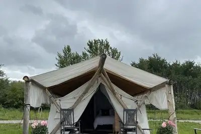 Image de Heritage Ranch 'Buckskin' Glamping Tent (5)