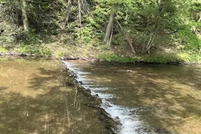 Image de Creekside Cottages, Cottage #2, across from Knoebel's Amusement Resort!