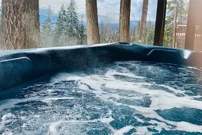 Image de Hot Tub'n at Shuswap Lake\nRnR with MnM in our Pet-Friendly! Lakeview Home