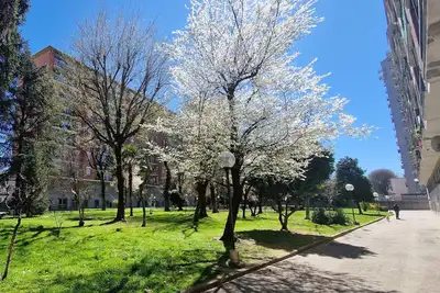 Image de Garden on the Naviglio