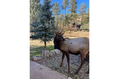 Image de Strawberry Ridge Retreat