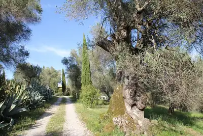Image de Vacation apartment in a Tuscan stone house