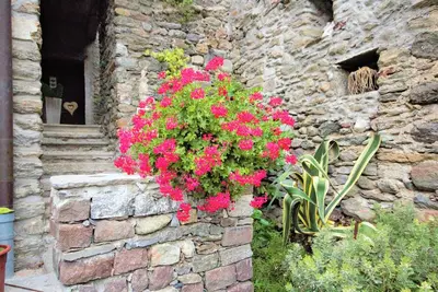 Image de Borgo Viii Apartment