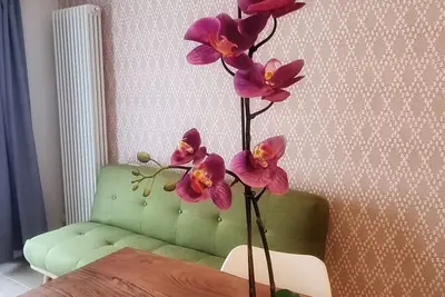 Image de Beautiful apartment close to the beach and in the city center
