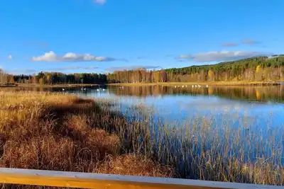 Image de Swedish-style guest house in the beautiful nature and tranquillity of central Sweden.