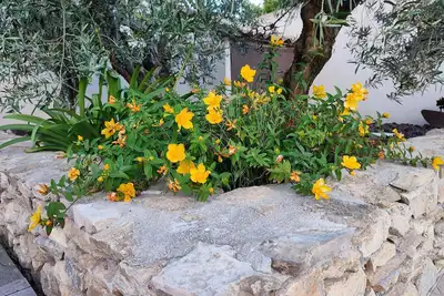 Image de La Pépite des Dentelles