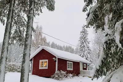 Image de Cozy cabin with fireplace & lake view
