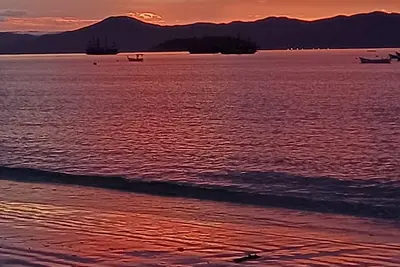 Image de The way to the beach