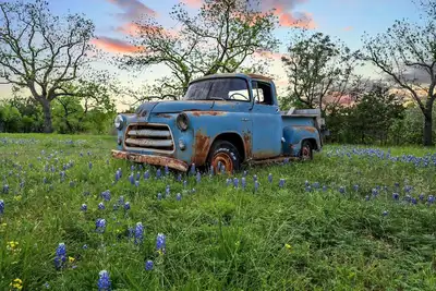 Image de Blue Truck Ranch-6 Acres 3 Cottages Fire Pit!