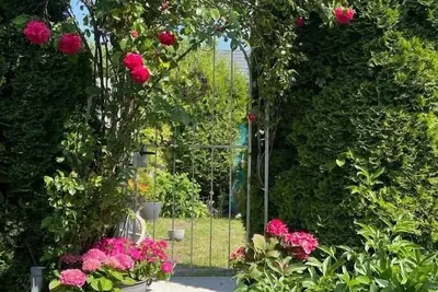 Image de Vacation apartment/apartment for 4 guests with 70m² in Münsingen (183764)