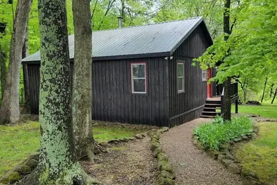 Image de Forest Cabin #3 at Camp Because I Said I Would