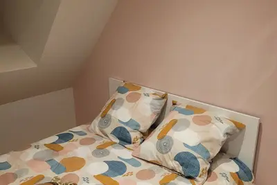 Image de Les forsythias