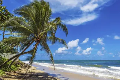 Image de Aloha Adventure Home - 2 min from beach