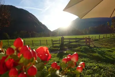Image de Rustic vacation apartment at home, rural - quiet location with fully equipped kitchen