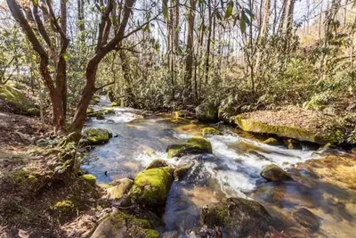 Image de Ole Blue - Table Rock, Sassafras, Lake Keowee, Lake Jocassee.