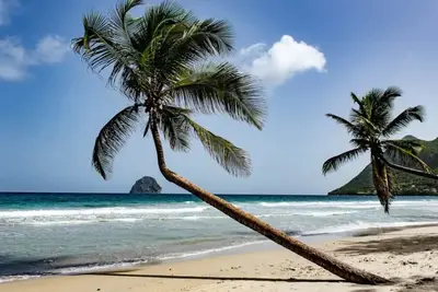 Image de Appartement 2 chambres sur la plage du Diamant