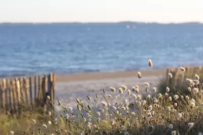 Image de Bel appartement pour 4 personnes avec piscine, Wifi, Tv, balcon et animaux admis