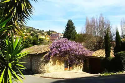 Image de The Moulin de Boursac - Historic renovated Mill with a huge pool