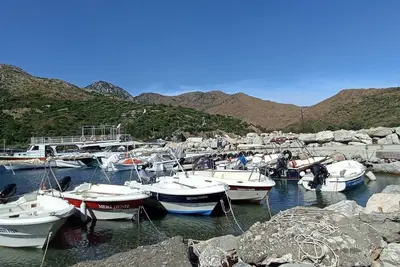 Kardelen apart Mesudiye
