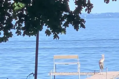 Image de Your Lake home in Oshkosh! New home built in 2017. On Lake Winnebago