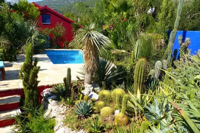 Villa Tropica - villa with pool and private garden