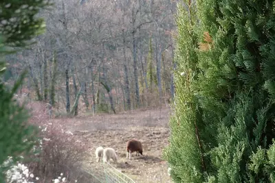 Image de Au pied du grand Luberon Maison de Sculpteur
