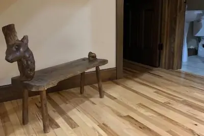 Image de Dog Friendly Tuckasegee River Rental