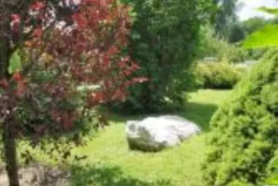 Top 1 vacation apartment in the Wiesengrund guest house