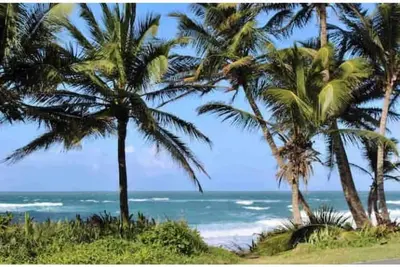 Image de Enjoy beaches, water sports, nature & more!