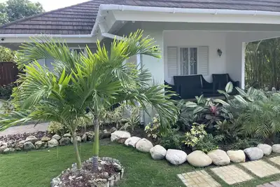 Image de Oasis in the Palms