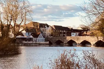 Image de In the heart of the New Forest