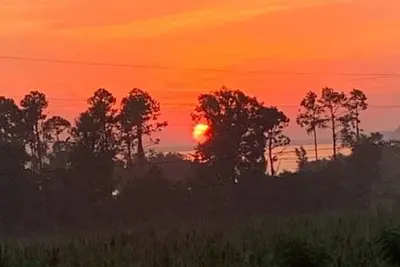 Image de Great views and walking distance to the boat ramp at Lake Seminole! !