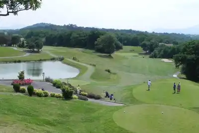 Image de Appt 55m² résidence avec piscine 1ere Ligne Vue Golf Bassussarry