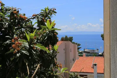 Image de Appartement d'une chambre avec la terrasse et la vue sur le mer Brela, Makarska (A-20598-c)