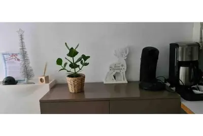 Image de F2 Ă 5min de la gare, duplex, calme, 47m2