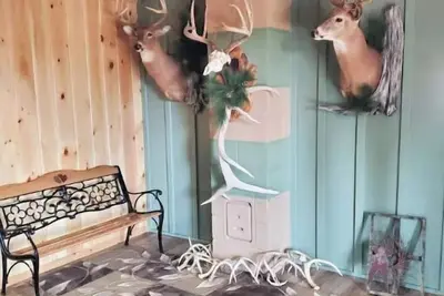 Image de Deer Country Lodge