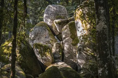 Image de Apartment with 49sqm, 1 bedroom, max. 4 persons