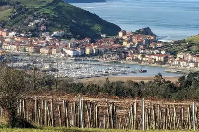 Image de Zumaia Basque Alai