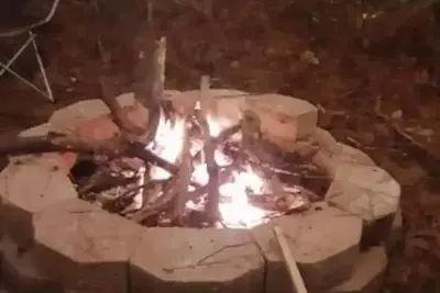 Image de Fern Gully cabin