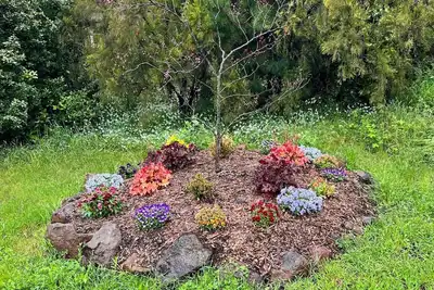 Image de Macedon Paradise