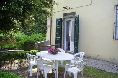 Image de The Bio Farm at high altitude in Lucca - Mulberry Tree