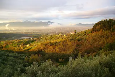 Image de The Bio Farm at High Altitude in Lucca - Floris