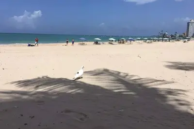 Image de This apartment is a 2 bedroom(s), 1 bathrooms, located in San Juan, Pr.