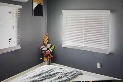 Image de Tiger's house 🐅