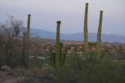 Image de Breathtaking Desert and Mountain Views connects you to Tucson. Enjoy your stay!