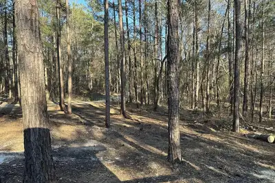 Image de Beautiful cabin within two miles of Lake Martin