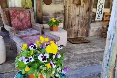 Image de Mullins Log Cabin 1850s rustic cabin near Ark  Sits on 5 ac\n15 min to Ark\n\n\n\n