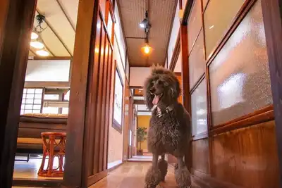 Image de Old folk house with dog run / Imabari Ehime